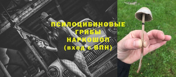 спиды Алексин