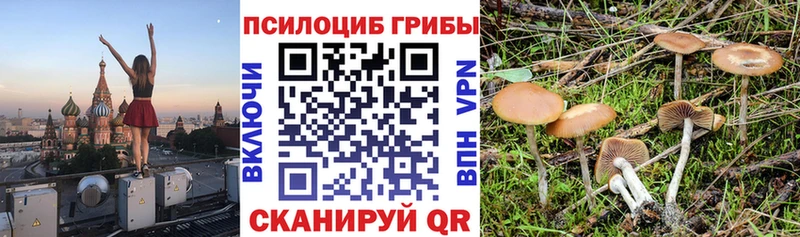 Псилоцибиновые грибы ЛСД  Тула 