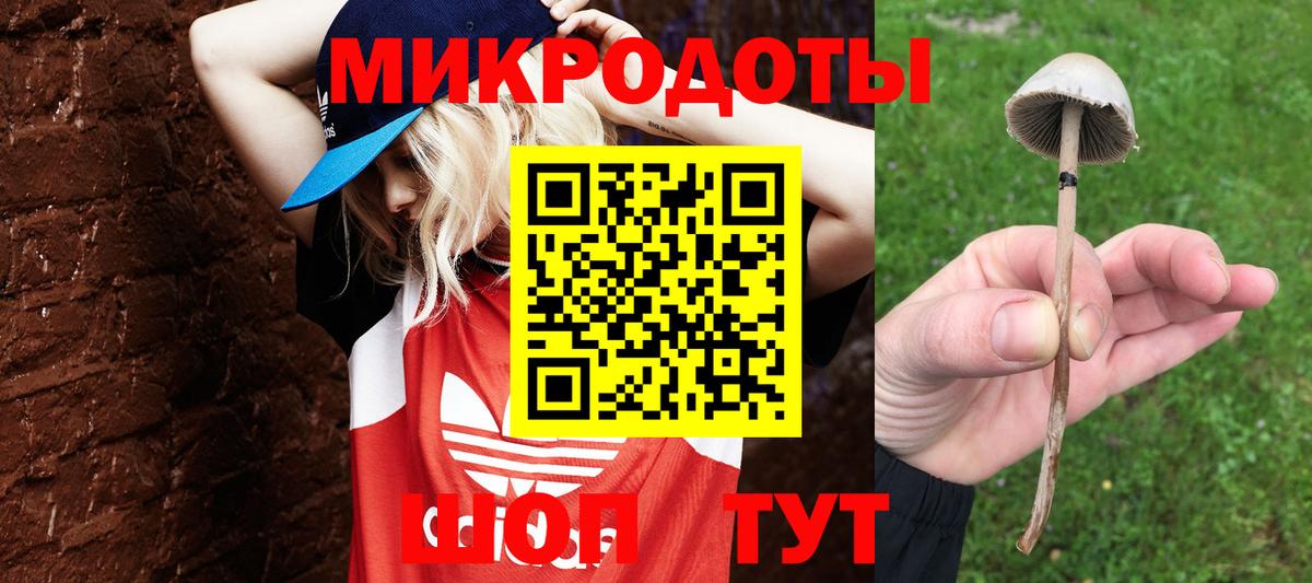 Галлюциногенные грибы Cubensis Тула